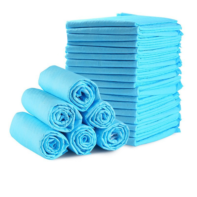 Disposable Pet Training Pads, Absorbent Puppy Pee Pads for Dogs & Cats, Leak-Proof Pet Underpads