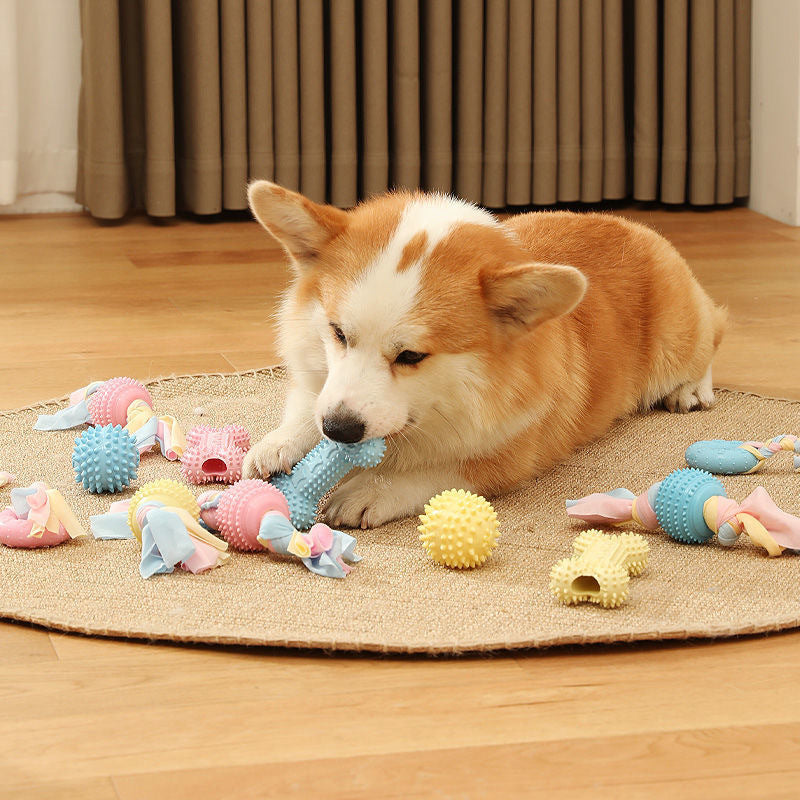 Dog TPR Chew Toy,Macaron Color Teething Stick,Durable Bite‑Resistant Dental Toy for Puppy & Adult Dog,Boredom Relief Interactive Toy