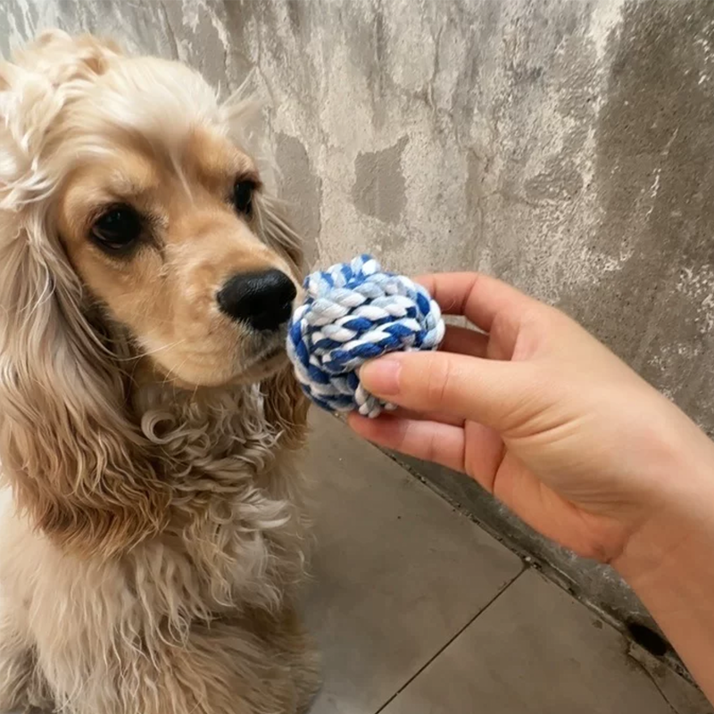 Cotton Braided Rope Dog Toy, Teeth‑Cleaning Colorful Chew Ball for Pets