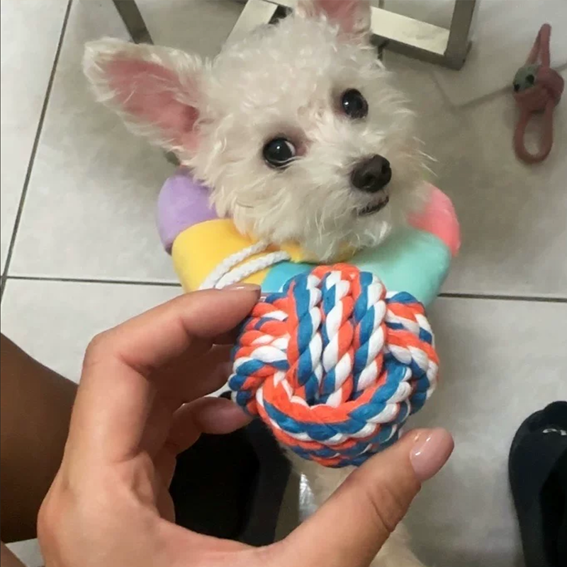 Cotton Braided Rope Dog Toy, Teeth‑Cleaning Colorful Chew Ball for Pets