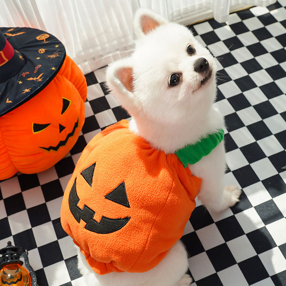 Halloween Pumpkin Dog & Cat Costume Set – Soft Plush Vest + Hat