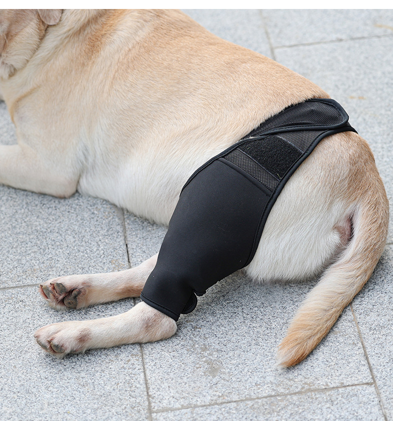 Adjustable Dog Leg Joint Knee Brace, Neoprene Canine Leg Support Sleeve for Injury Recovery, Post Surgery Protection & Arthritis Relief, Fits All Four Legs