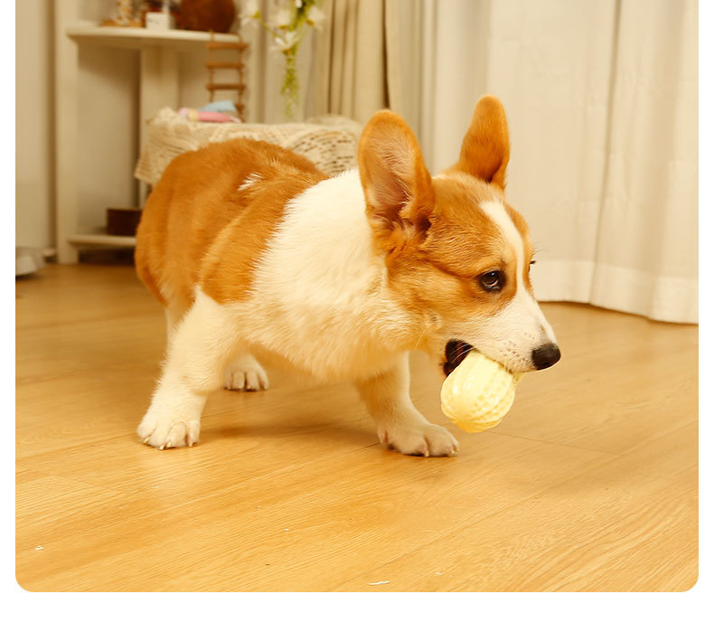 Squeaky Peanut Dog Chew Toy, Non‑Toxic Food‑Safe TPR Milk‑Scented Teething Toy, Interactive Dental Care Toy for Puppy Small Medium Large Dogs