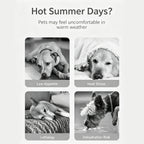 Cute Cartoon Dog Life Jacket | Bee, Duck & Crocodile Pet Swim Vest with Head Support, Reflective Rescue Handle & Leash D-Ring
