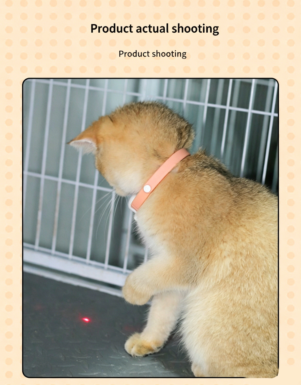 Automatic Laser Cat Collar | USB Rechargeable Interactive Kitten Play Toy