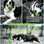 Interactive Dog Toy Ball, Shake & Chew Sound Making Toy for Indoor Outdoor Play, Enrichment Play Toy for Small Medium Large Dogs