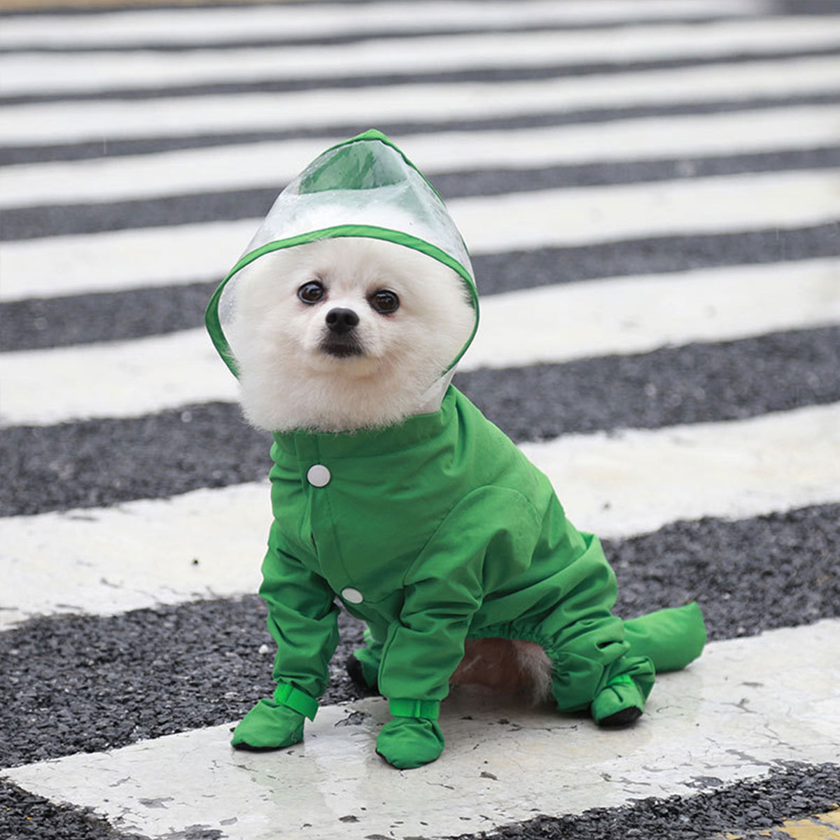 Full Coverage Dog Raincoat with Built-in Rain Boots, 360° Clear Visor, Detachable Tail Cover, Easy Snap Button Closure for Small Medium Dogs