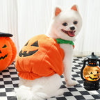 Halloween Pumpkin Dog & Cat Costume Set – Soft Plush Vest + Hat