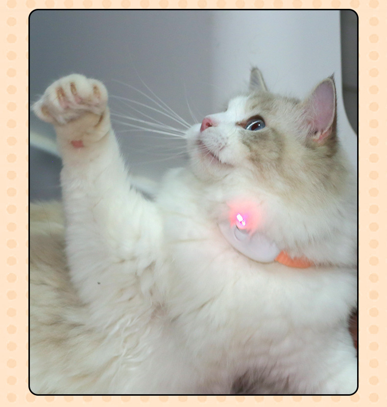 Automatic Laser Cat Collar | USB Rechargeable Interactive Kitten Play Toy