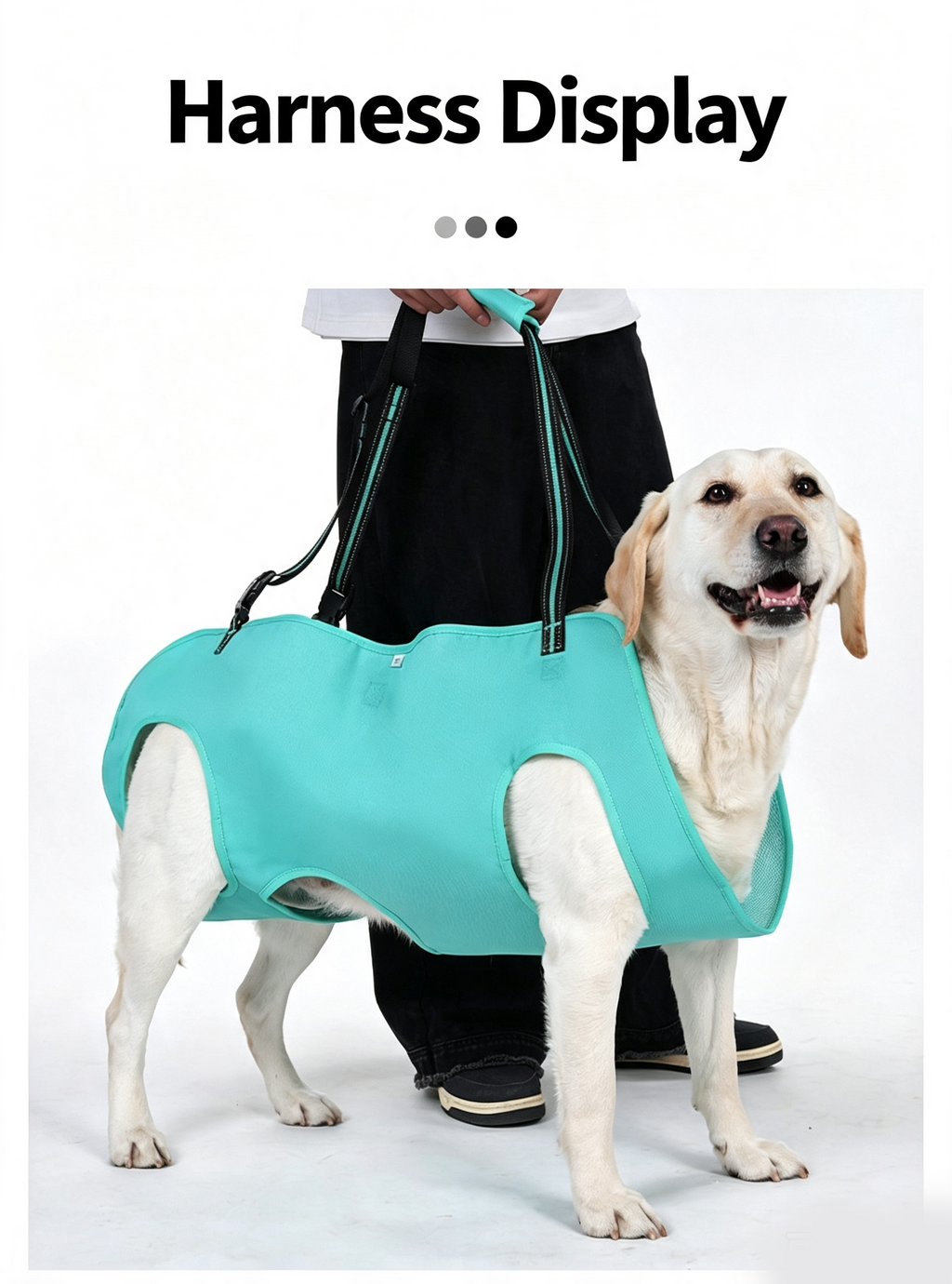 Full Body Support Dog Lift Harness | Mobility Aid for Senior, Injured & Disabled Dogs