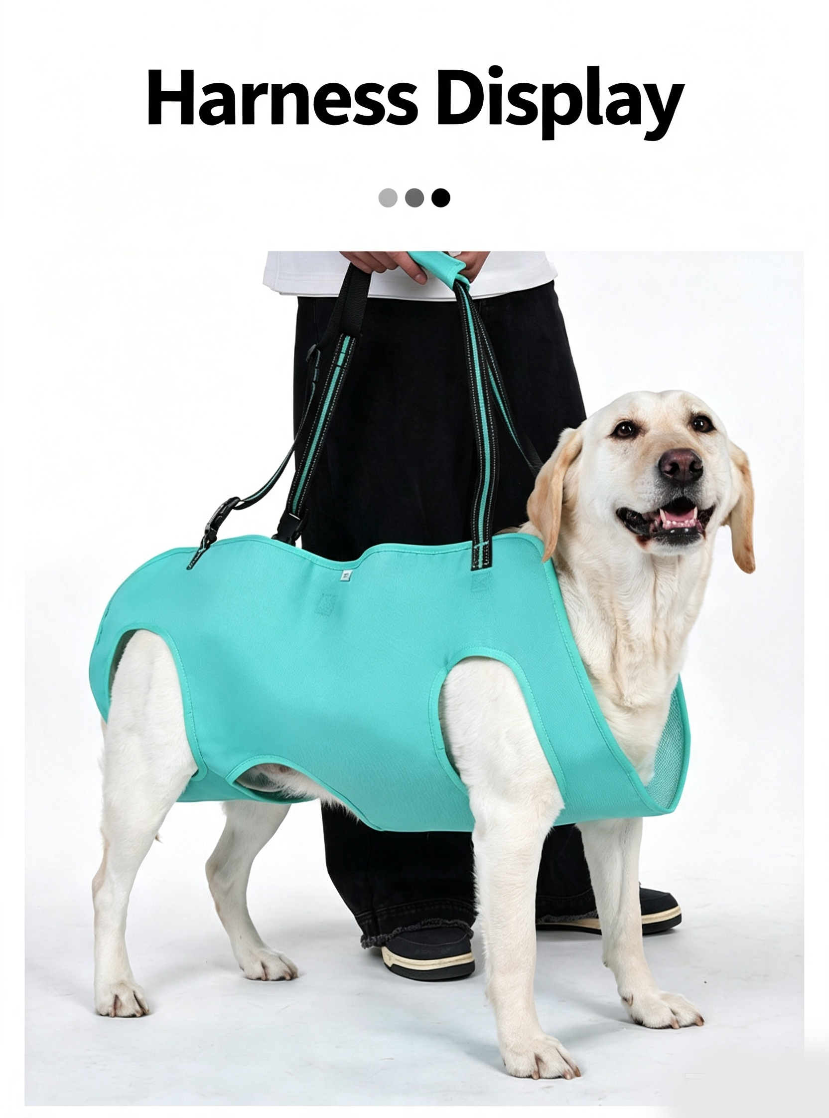 Full Body Support Dog Lift Harness | Mobility Aid for Senior, Injured & Disabled Dogs
