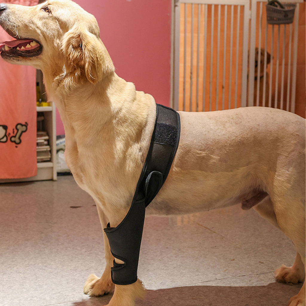 Adjustable Dog Leg Joint Knee Brace, Neoprene Canine Leg Support Sleeve for Injury Recovery, Post Surgery Protection & Arthritis Relief, Fits All Four Legs