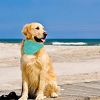 Adjustable Pet Cooling Neck Scarf, Reusable Evaporative Cool Wrap for Dogs & Cats, Velcro Fastener, Multi‑Purpose Neck or Head Wear, S/M/L Sizes