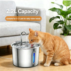 2L Pet Water Fountain, 304 Stainless Steel Automatic Water Dispenser for Cats & Dogs, Quiet Circulating Water Fountain with Bonus Filter Replacements 