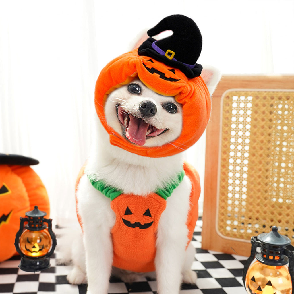 Halloween Pumpkin Dog & Cat Costume Set – Soft Plush Vest + Hat