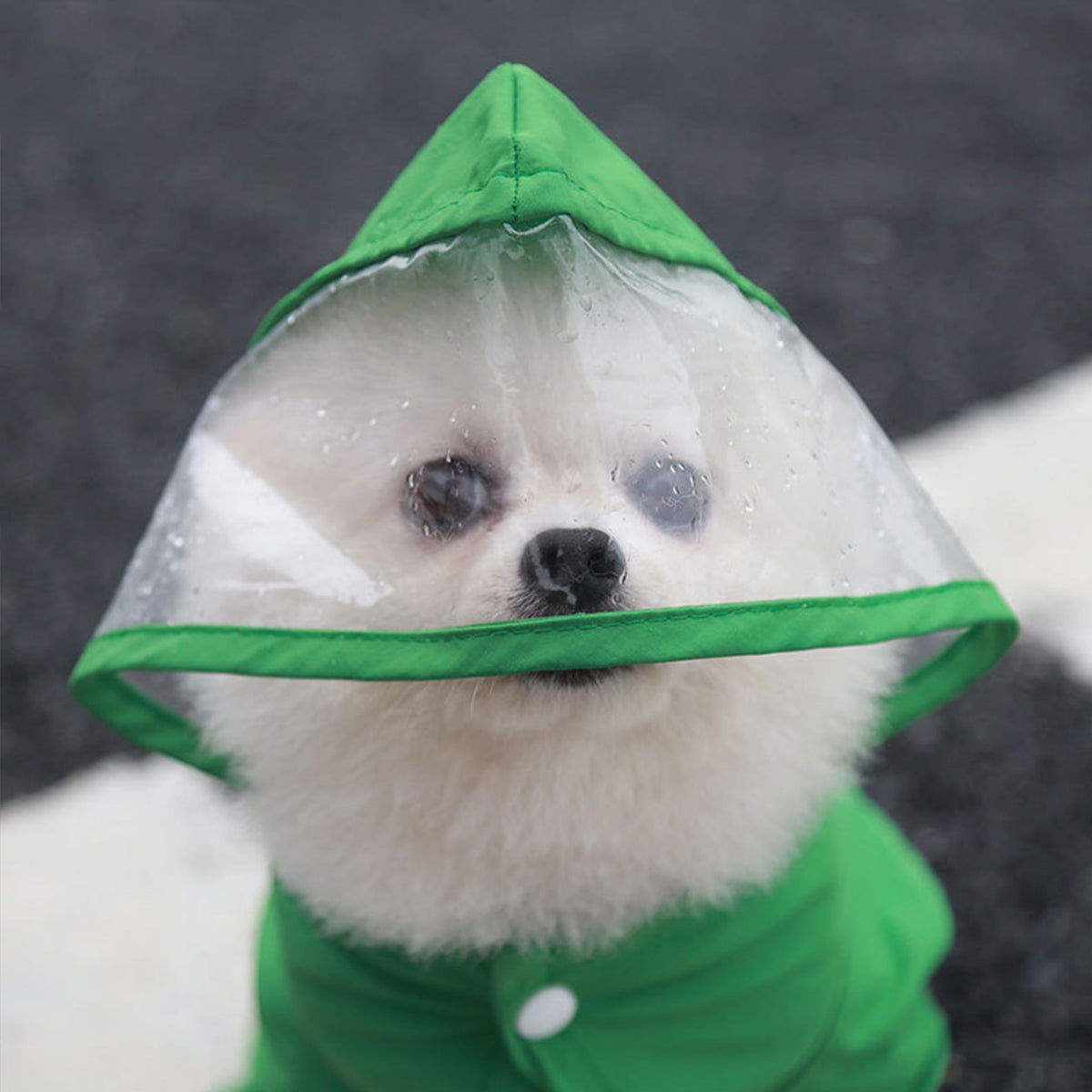Full Coverage Dog Raincoat with Built-in Rain Boots, 360° Clear Visor, Detachable Tail Cover, Easy Snap Button Closure for Small Medium Dogs