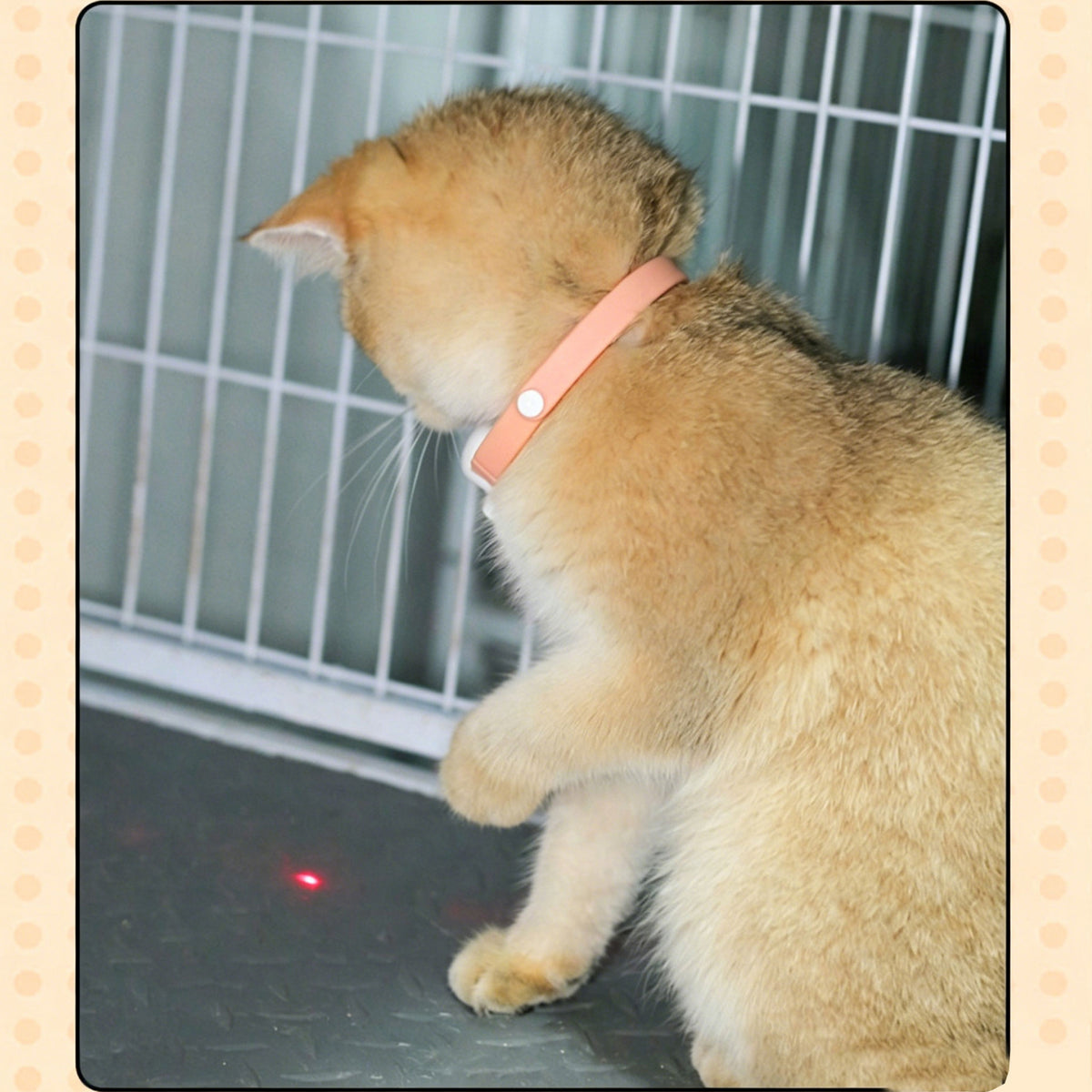 Automatic Laser Cat Collar | USB Rechargeable Interactive Kitten Play Toy