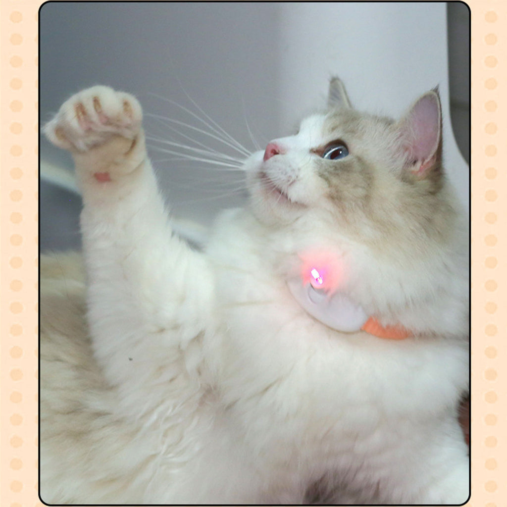 Automatic Laser Cat Collar | USB Rechargeable Interactive Kitten Play Toy