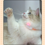 Automatic Laser Cat Collar | USB Rechargeable Interactive Kitten Play Toy