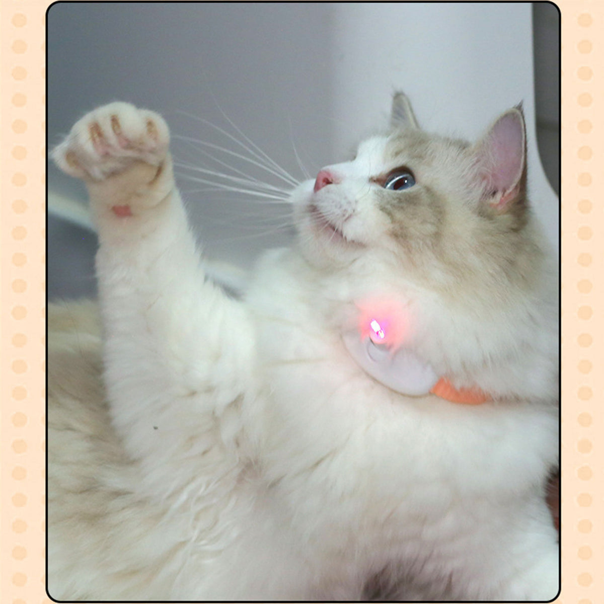 Automatic Laser Cat Collar | USB Rechargeable Interactive Kitten Play Toy