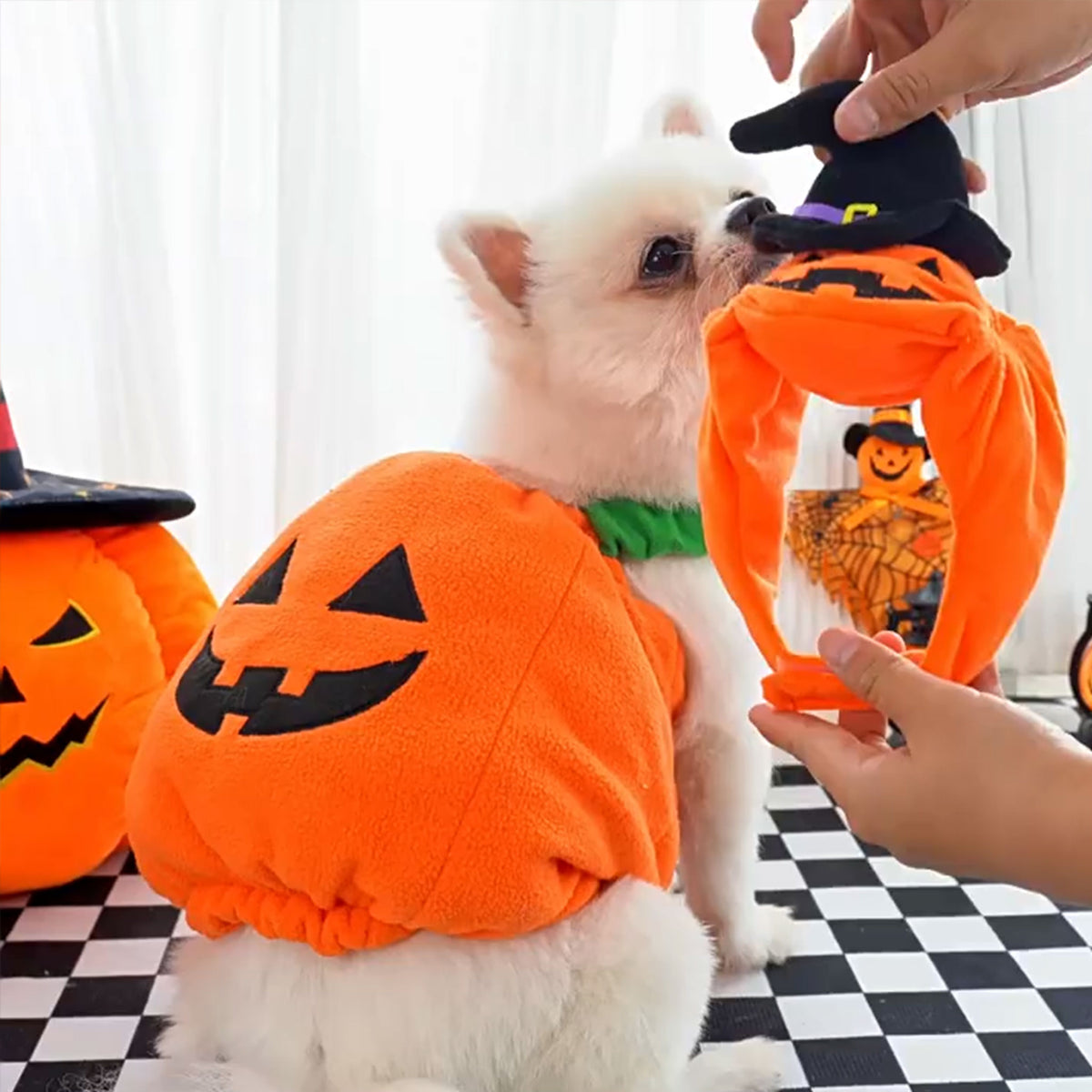 Halloween Pumpkin Dog & Cat Costume Set – Soft Plush Vest + Hat