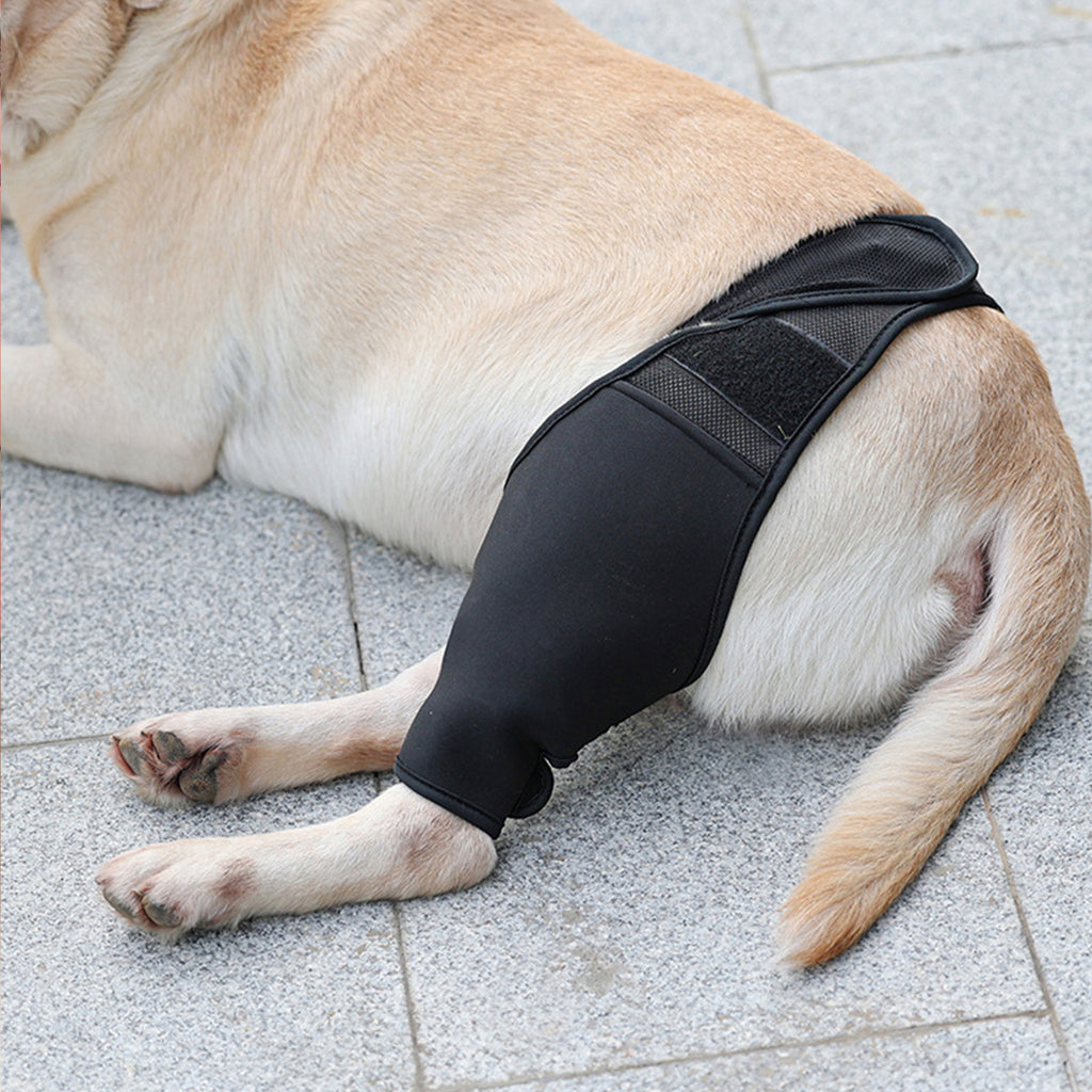 Adjustable Dog Leg Joint Knee Brace, Neoprene Canine Leg Support Sleeve for Injury Recovery, Post Surgery Protection & Arthritis Relief, Fits All Four Legs