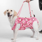 Full Body Support Dog Lift Harness | Mobility Aid for Senior, Injured & Disabled Dogs