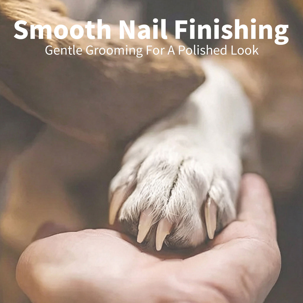 Rechargeable Electric Pet Nail Grinder, Low‑Vibration Quiet Nail Trimmer with Dual LED Lights, 2‑Speed for Dogs & Cats, Comes with 2 Extra Grinding Heads