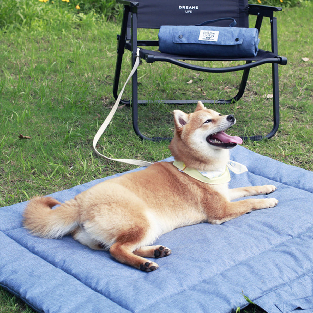 Portable Foldable Outdoor Pet Travel Mat, Reversible Scratch & Wear‑Resistant Water‑Repellent Sleeping Pad for Dogs & Cats, With Carry Handle, Denim Blue & Dark Grey, S/M/L Sizes