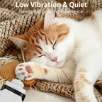 Rechargeable Electric Pet Nail Grinder, Low‑Vibration Quiet Nail Trimmer with Dual LED Lights, 2‑Speed for Dogs & Cats, Comes with 2 Extra Grinding Heads