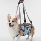 Full Body Support Dog Lift Harness | Mobility Aid for Senior, Injured & Disabled Dogs