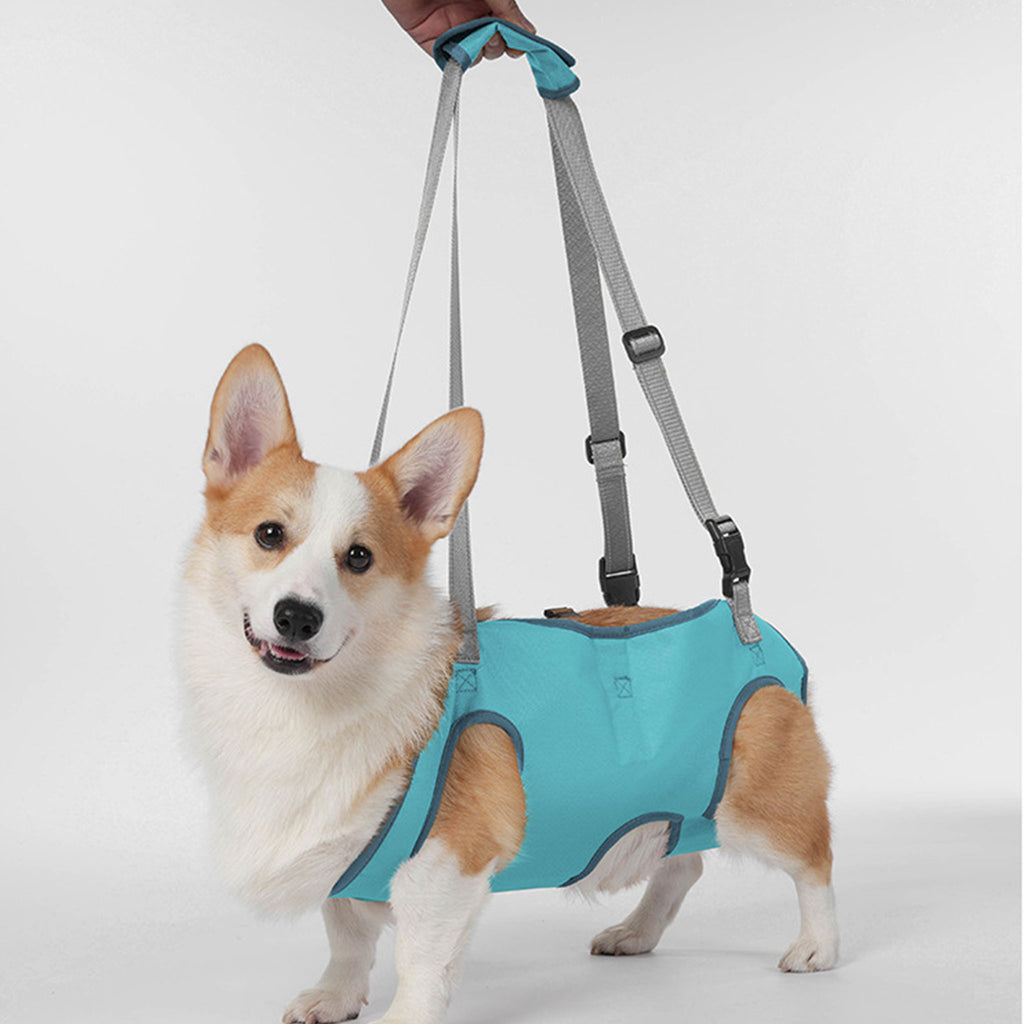 Full Body Support Dog Lift Harness | Mobility Aid for Senior, Injured & Disabled Dogs