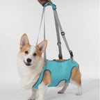 Full Body Support Dog Lift Harness | Mobility Aid for Senior, Injured & Disabled Dogs
