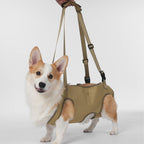 Full Body Support Dog Lift Harness | Mobility Aid for Senior, Injured & Disabled Dogs