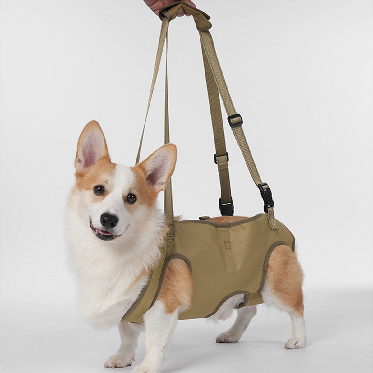 Full Body Support Dog Lift Harness | Mobility Aid for Senior, Injured & Disabled Dogs