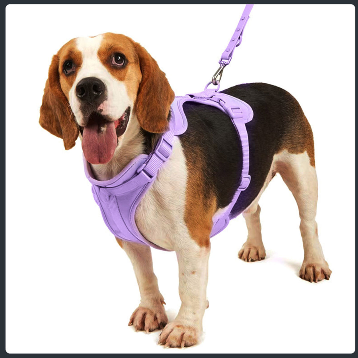 Anti-Escape Anti-Pull Dog Harness 4-Piece Set, Adjustable Breathable Pet Walking Kit with Collar, Leash & Poop Bag Dispenser, 15 Colors Available