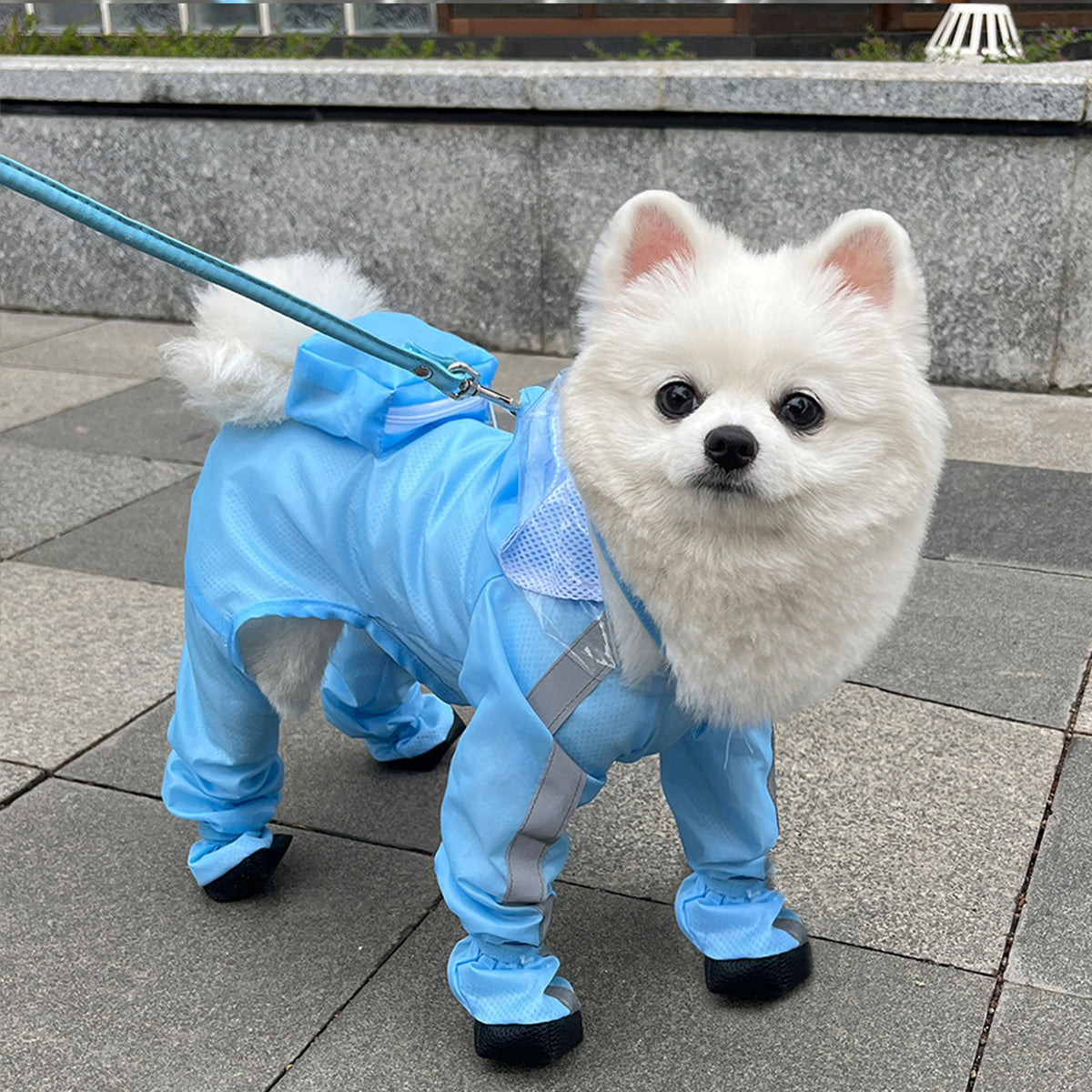 Full Coverage Dog Raincoat with Built-in Rain Boots, 360° Clear Visor, Detachable Tail Cover, Easy Snap Button Closure for Small Medium Dogs