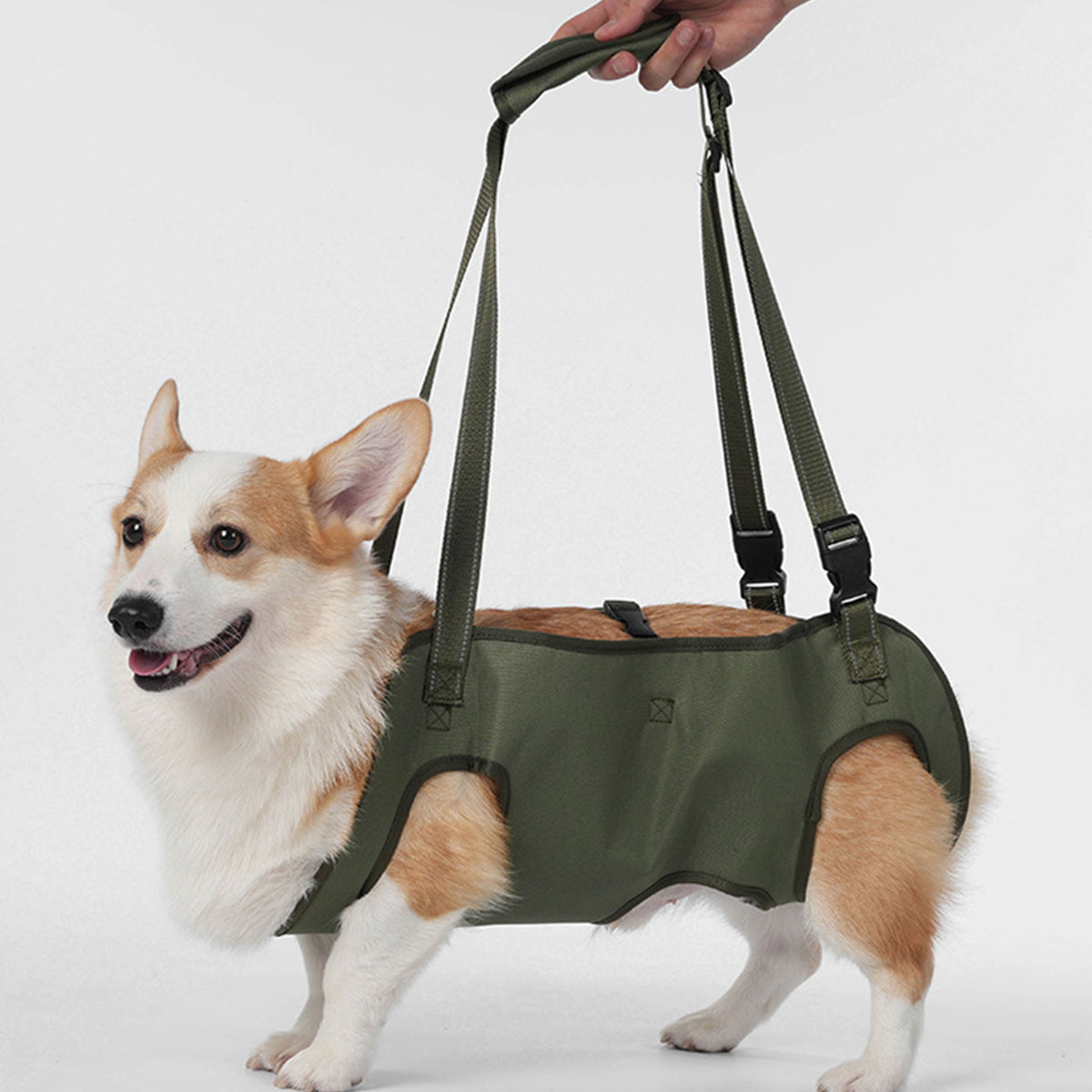 Full Body Support Dog Lift Harness | Mobility Aid for Senior, Injured & Disabled Dogs