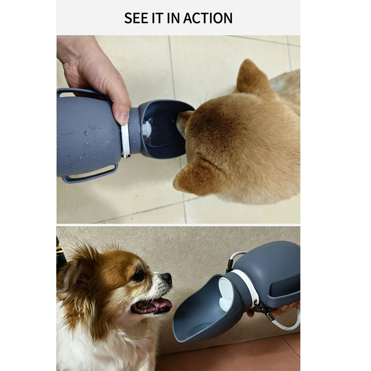 800ml Foldable Silicone Pet Water Bottle, Portable Leak‑Resistant Dog Water Dispenser with Detachable Strap for Outdoor Walking Hiking