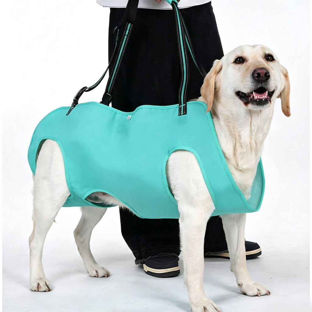 Full Body Support Dog Lift Harness | Mobility Aid for Senior, Injured & Disabled Dogs