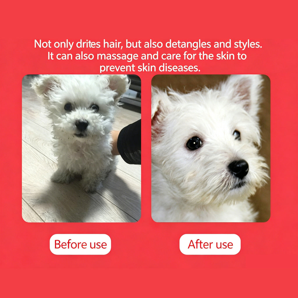 2‑in‑1 Pet Hair Dryer Brush, 300W Low‑Noise Hot Air Grooming Comb, 3 Speed Adjustable, Detangling & Drying Brush for Dogs & Cats, 110‑230V Multi‑Plug