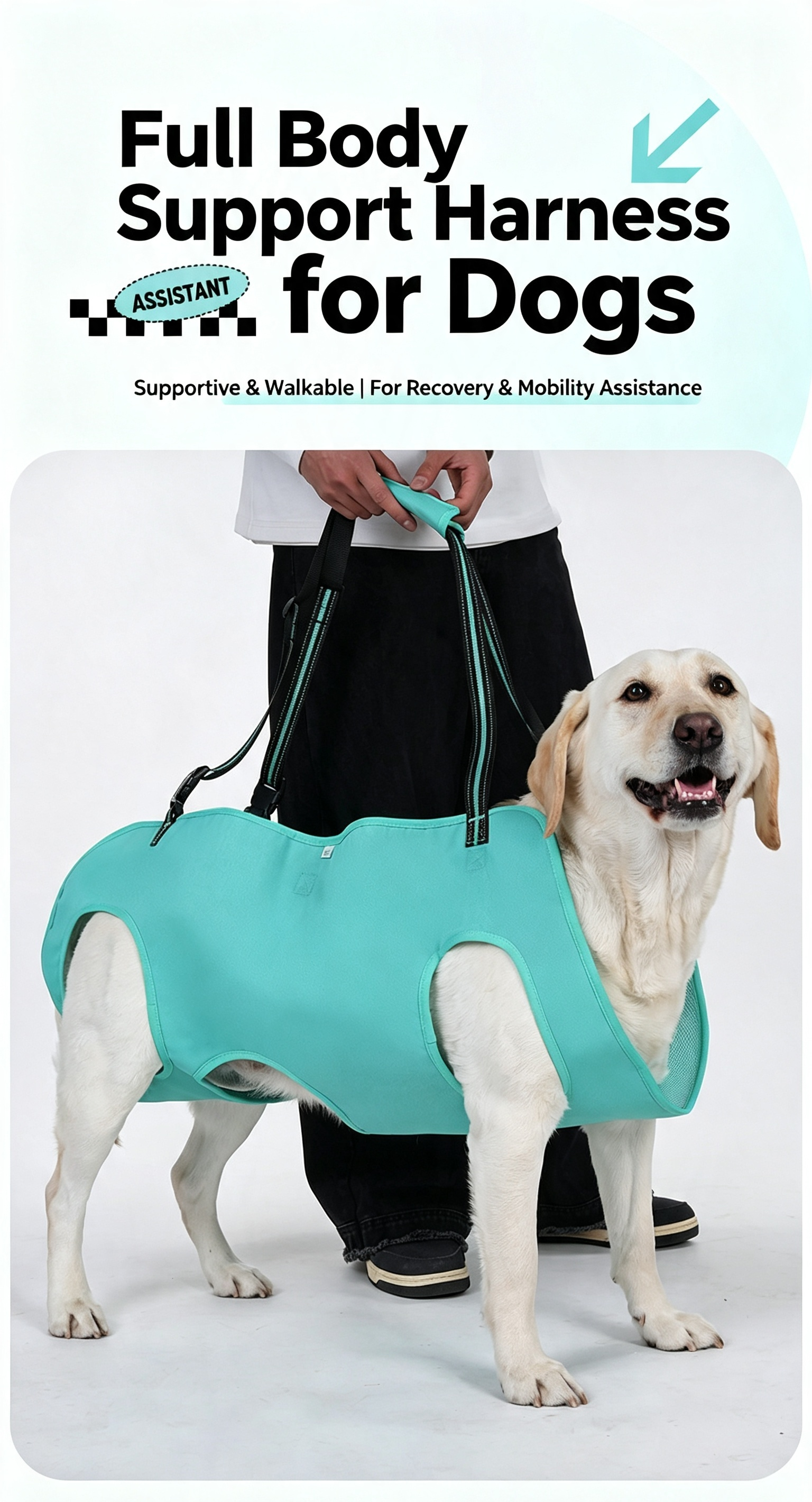 Full Body Support Dog Lift Harness | Mobility Aid for Senior, Injured & Disabled Dogs
