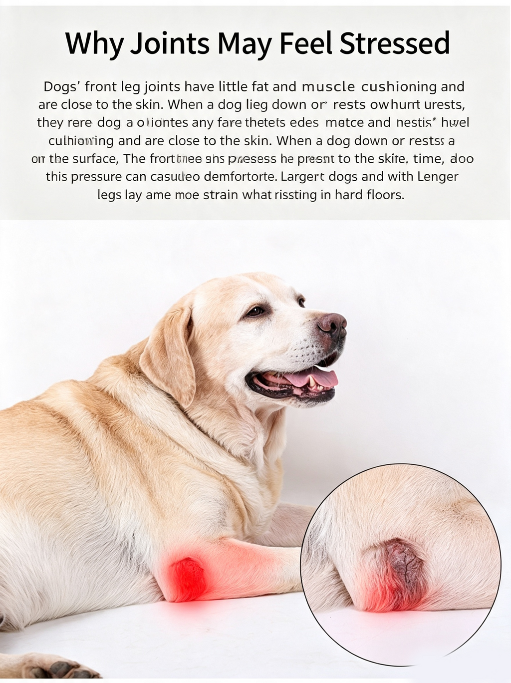 Adjustable Dog Leg Joint Knee Brace, Neoprene Canine Leg Support Sleeve for Injury Recovery, Post Surgery Protection & Arthritis Relief, Fits All Four Legs