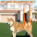 Dog Rear Leg Support Harness | Adjustable Lift Sling for Senior Injured Dogs Orange S-XL