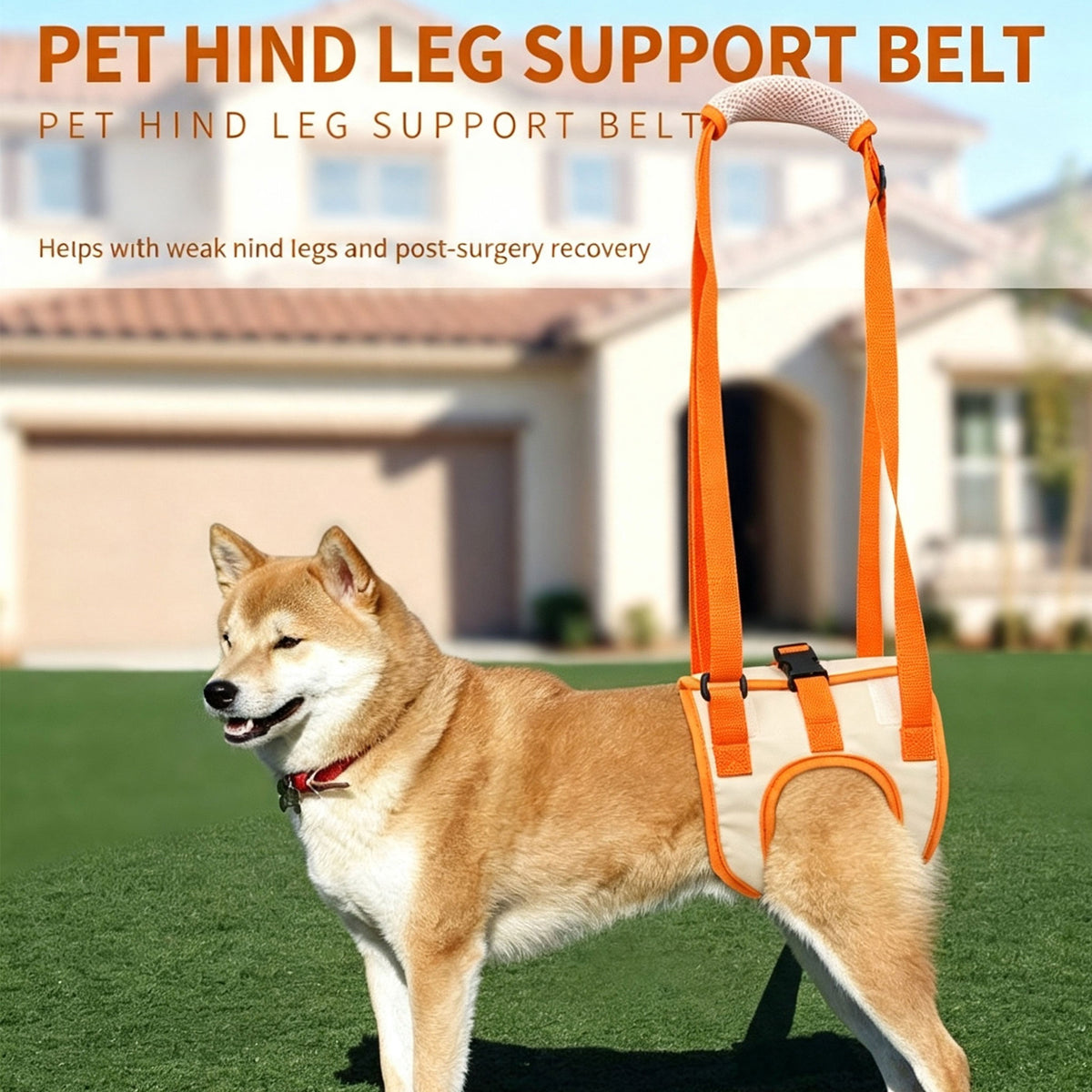 Dog Rear Leg Support Harness | Adjustable Lift Sling for Senior Injured Dogs Orange S-XL