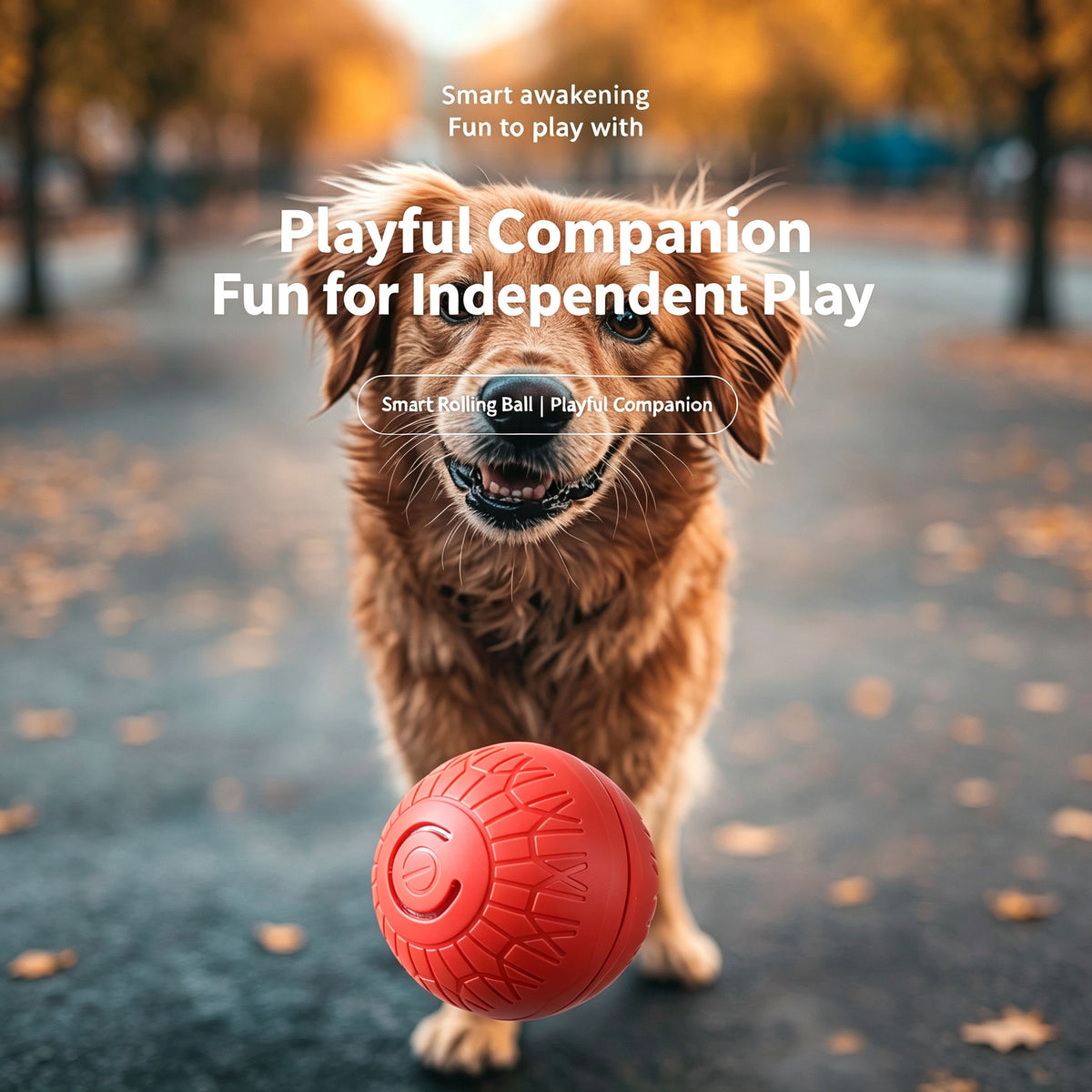 Interactive Automatic Rolling Dog Toy, USB‑C Rechargeable Moving Pet Ball for Small & Medium Dogs, Enrichment Play Toy for Indoor Outdoor Use