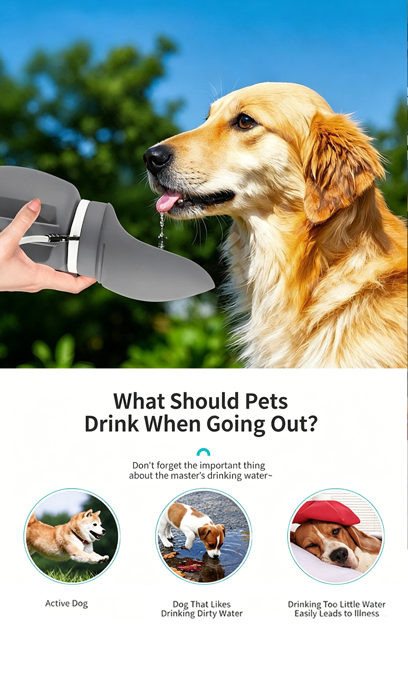 800ml Foldable Silicone Pet Water Bottle, Portable Leak‑Resistant Dog Water Dispenser with Detachable Strap for Outdoor Walking Hiking