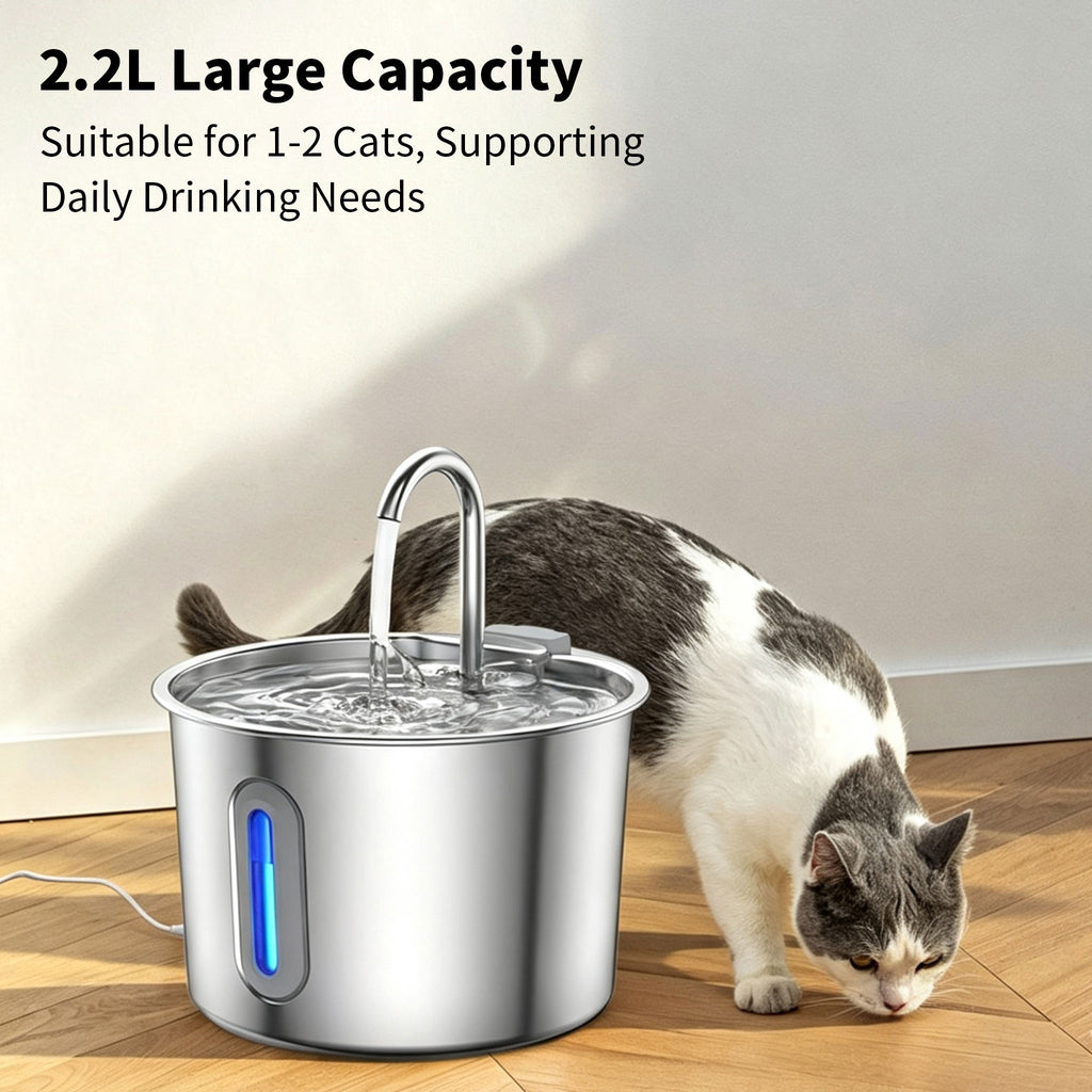 2L Pet Water Fountain, 304 Stainless Steel Automatic Water Dispenser for Cats & Dogs, Quiet Circulating Water Fountain with Bonus Filter Replacements 