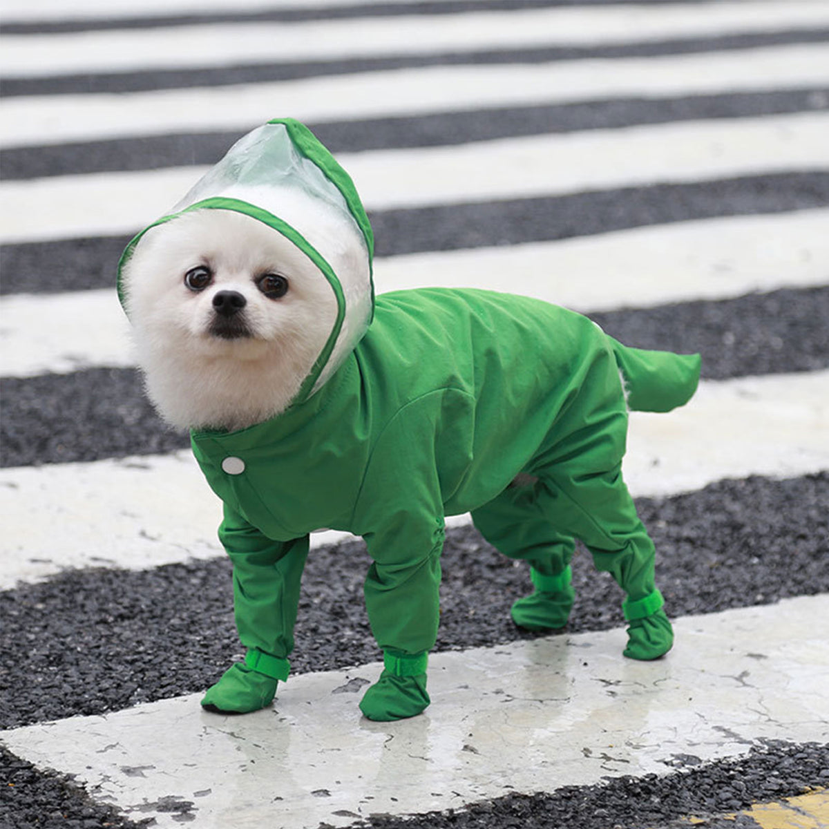 Full Coverage Dog Raincoat with Built-in Rain Boots, 360° Clear Visor, Detachable Tail Cover, Easy Snap Button Closure for Small Medium Dogs