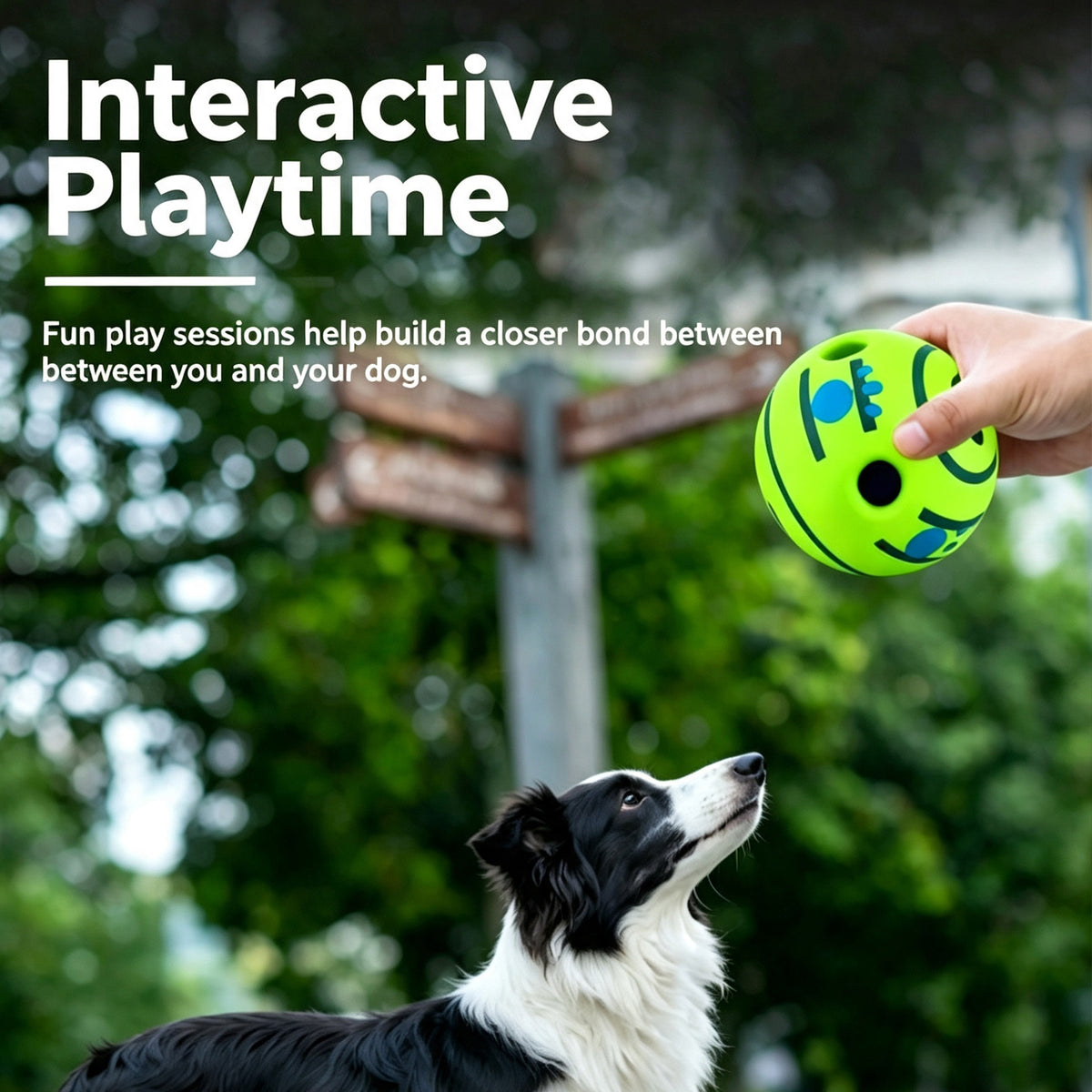 Interactive Dog Toy Ball, Shake & Chew Sound Making Toy for Indoor Outdoor Play, Enrichment Play Toy for Small Medium Large Dogs